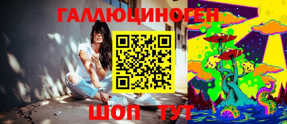 Галлюциногенные грибы Psilocybine cubensis Якутск