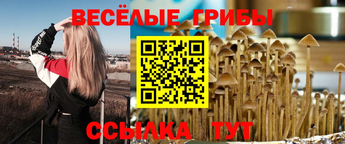 Якутск  Псилоцибиновые грибы мухоморы  Вход с VPN  где купить наркоту  Галлюциногенные грибы GOLDEN TEACHER 